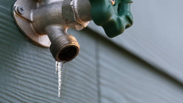 Best Local Plumber Services  in Villas, NJ